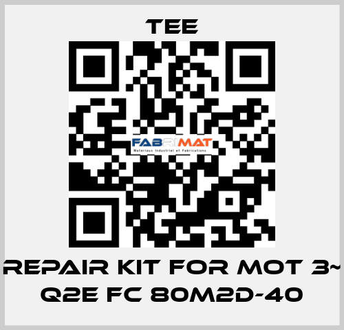 repair kit for Mot 3~ Q2E FC 80M2D-40 TEE