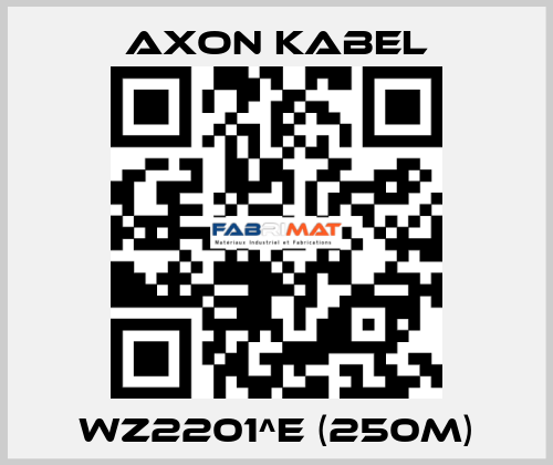 WZ2201^E (250M) AXON KABEL