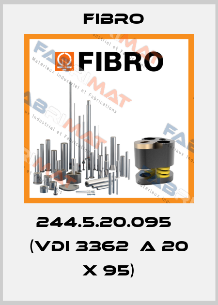 244.5.20.095   (VDI 3362  A 20 x 95) Fibro
