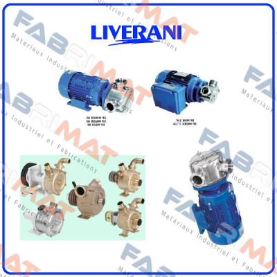 PUMP 51072007PI Liverani