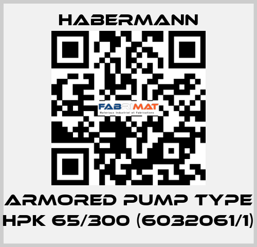 Armored pump type HPK 65/300 (6032061/1) HABERMANN