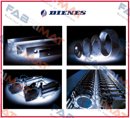 224D130124010 Dienes