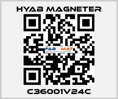 C36001V24C Hyab Magneter