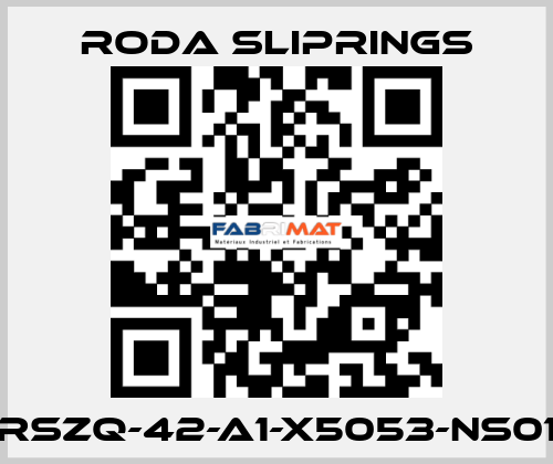 RSZQ-42-A1-X5053-NS01 Roda Sliprings