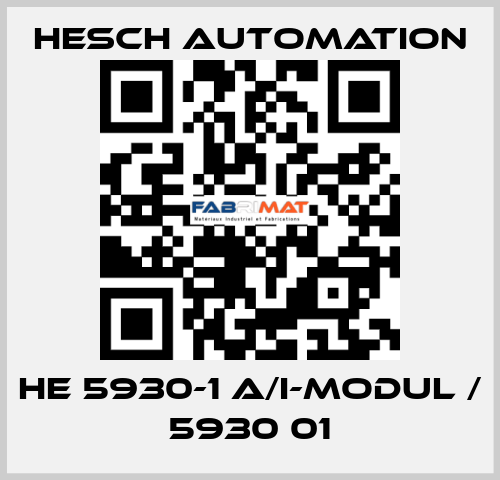 HE 5930-1 A/I-Modul / 5930 01 Hesch Automation