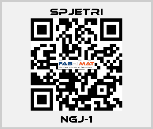 NGJ-1 SPJETRI