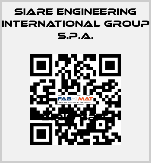 SIRIO S2/T SIARE ENGINEERING INTERNATIONAL GROUP S.p.A.