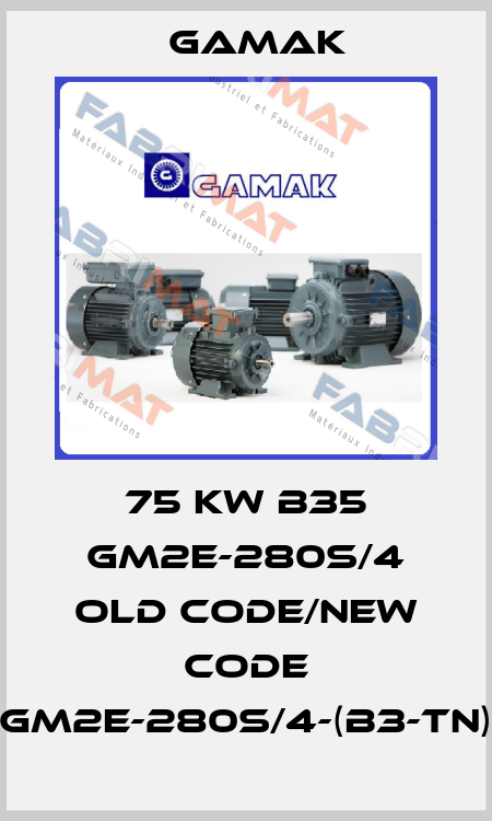 75 KW B35 GM2E-280S/4 old code/new code GM2E-280S/4-(B3-TN) Gamak