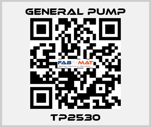 TP2530 General Pump