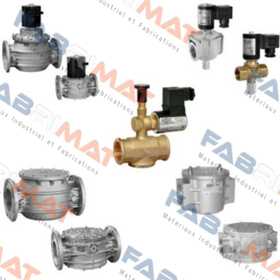 EV02308 Madas