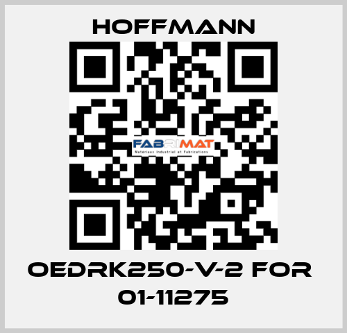 OEDRK250-V-2 for  01-11275 Hoffmann
