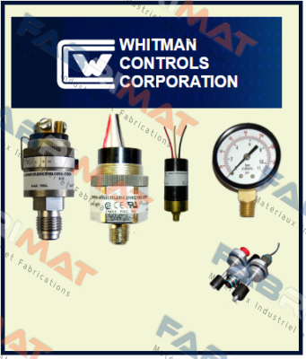 P119G-5H-F11L-X30156 Whitman Controls