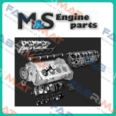 O-ring set for  PAMS1 M & S