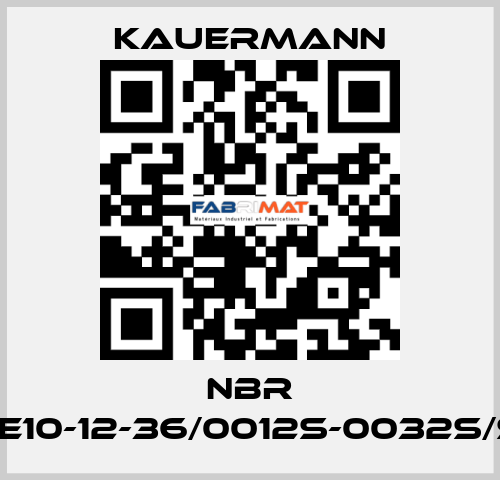 NBR Buckle10-12-36/0012S-0032s/SHA70 Kauermann