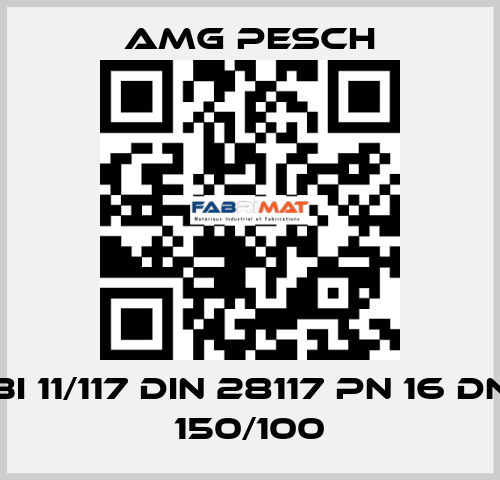BI 11/117 DIN 28117 PN 16 DN 150/100 AMG Pesch