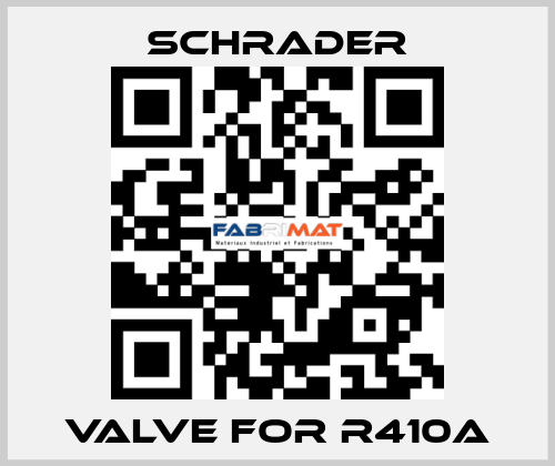 Valve for R410A Schrader