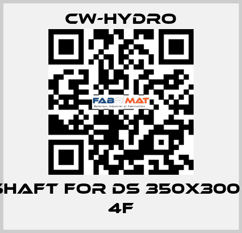 SHAFT for DS 350x300 - 4F CW-Hydro