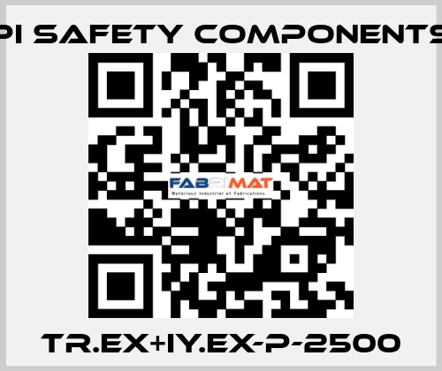 TR.Ex+IY.Ex-P-2500 Pi Safety Components