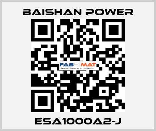 ESA1000A2-J BAISHAN POWER
