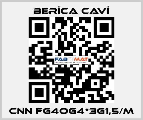 CNN FG4OG4*3G1,5/M BERİCA CAVİ