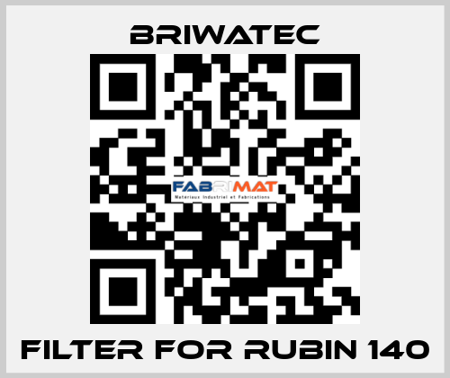 Filter for RUBIN 140 Briwatec
