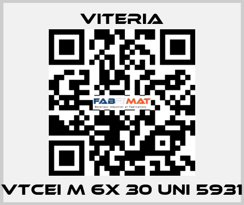 VTCEI M 6x 30 UNI 5931 VITERIA