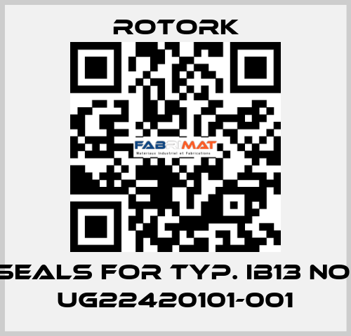 seals for Typ. IB13 No. UG22420101-001 Rotork
