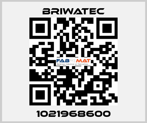 1021968600 Briwatec