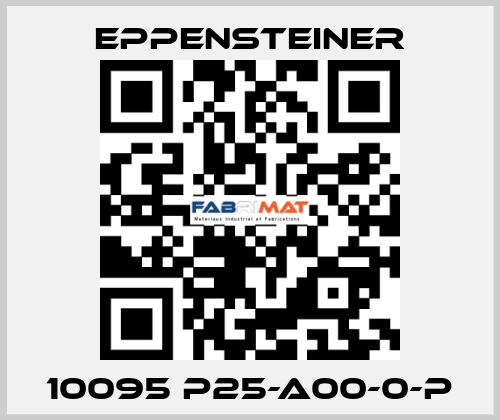 10095 P25-A00-0-P Eppensteiner