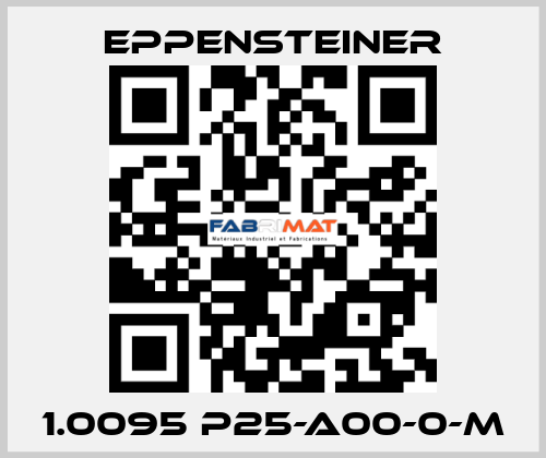 1.0095 P25-A00-0-M Eppensteiner