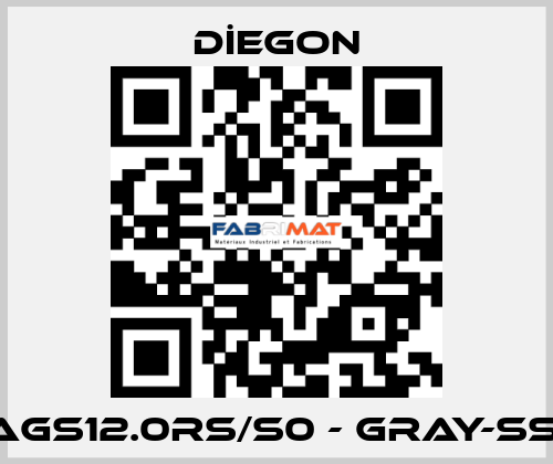 AGS12.0RS/S0 - GRAY-SSI DİEGON