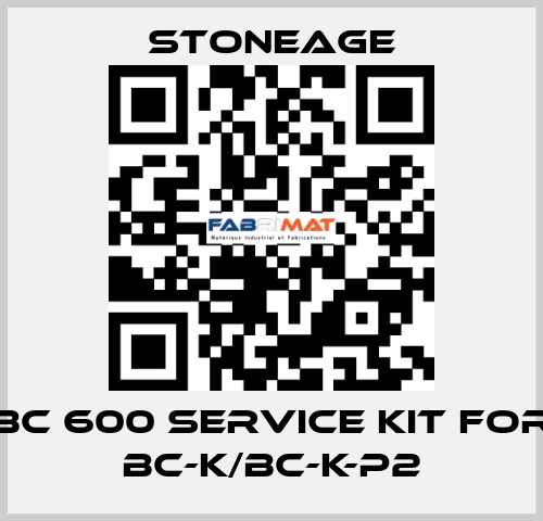 BC 600 Service Kit for BC-K/BC-K-P2 StoneAge