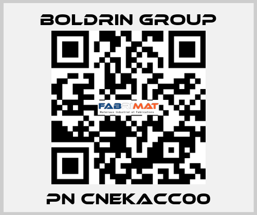 pn CNEKACC00 Boldrin Group
