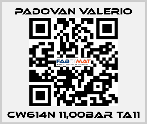 CW614N 11,00BAR TA11 PADOVAN VALERIO