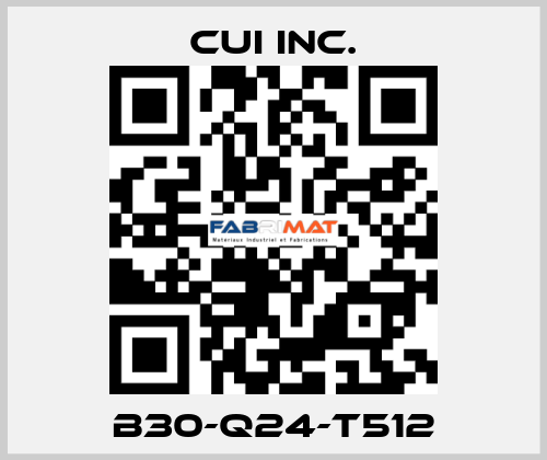 B30-Q24-T512 CUI Inc.