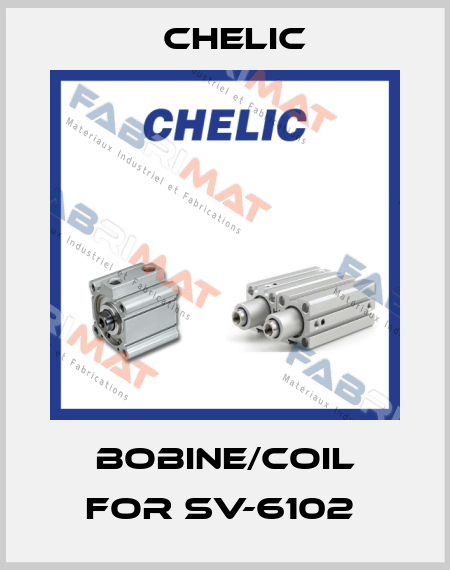 bobine/coil for SV-6102  Chelic