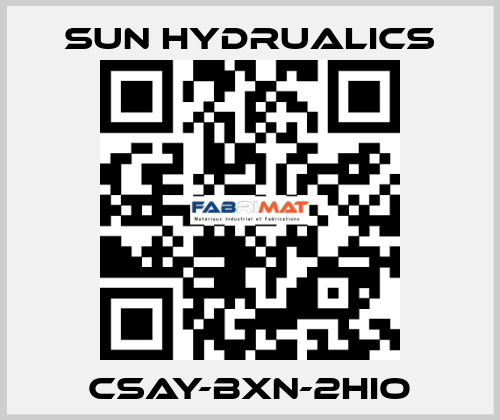 CSAY-BXN-2HIO sun hydrualics