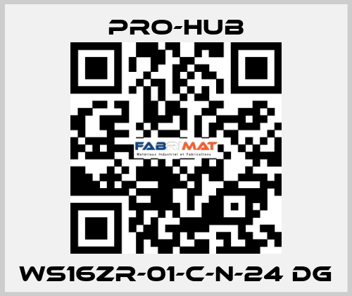WS16ZR-01-C-N-24 DG Pro-Hub