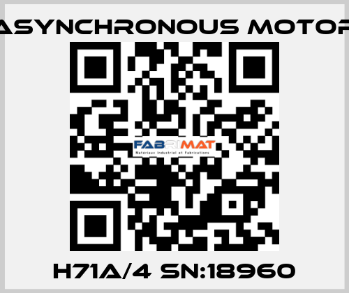 H71A/4 SN:18960 ASYNCHRONOUS MOTOR