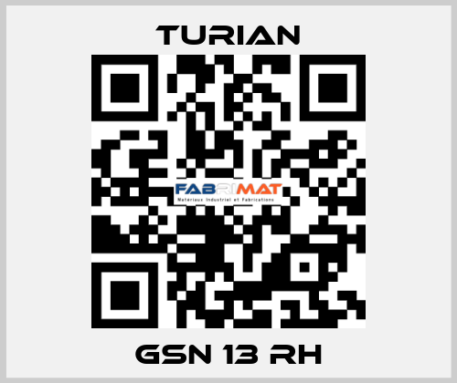 GSN 13 RH Turian