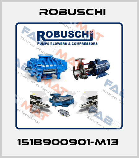 1518900901-M13  Robuschi