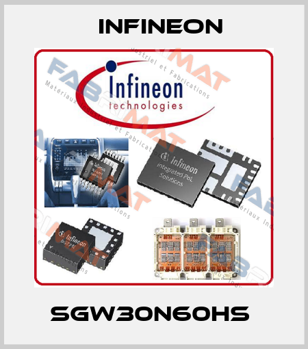 SGW30N60HS  Infineon