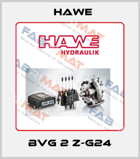 BVG 2 Z-G24 Hawe