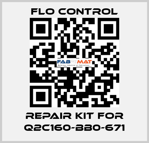repair kit for Q2C160-BB0-671 Flo Control
