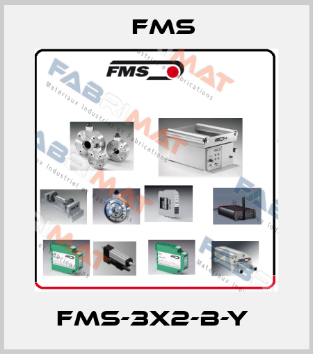 FMS-3x2-B-Y  Fms