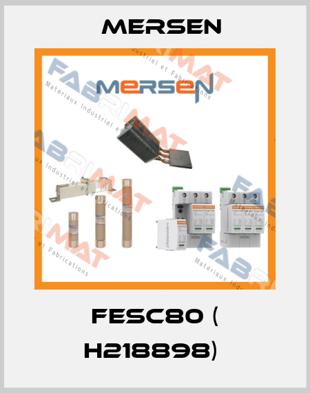 FESC80 ( H218898)  Mersen