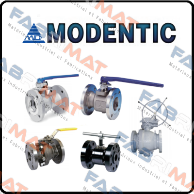 YF-CLASS150/1.5“/40 mesh Modentic