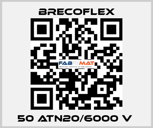 50 ATN20/6000 V  Brecoflex