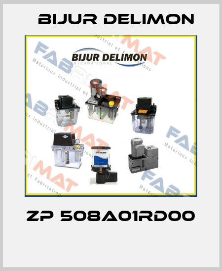 ZP 508A01RD00  Bijur Delimon