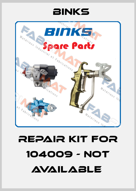 Repair kit for 104009 - not available  Binks